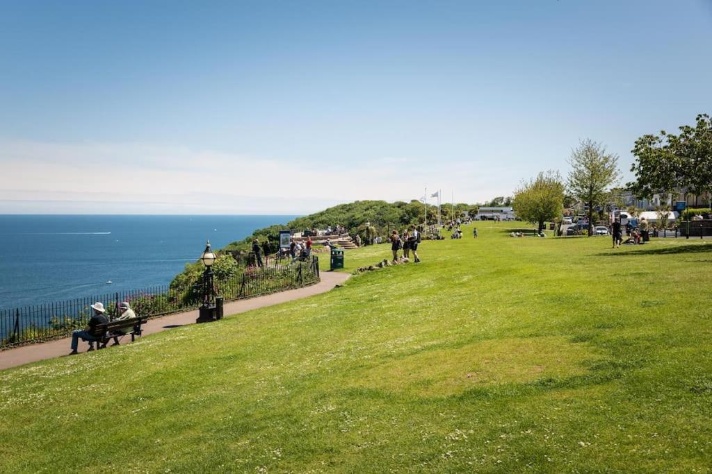 *Brand New* Olive Grove Cottage Torquay Esterno foto
